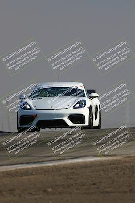 media/Jun-01-2025-PCA Golden Gate (Sun) [[9e4b10205a]]/Red/Session 1 (Grapevine)/